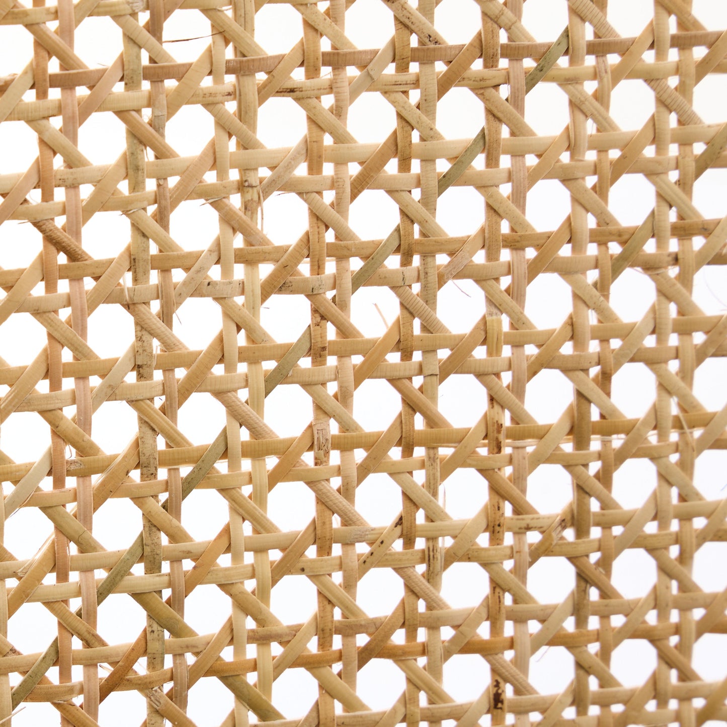 Bambie Solid Ash Wood Dining Chair in Walnut and Olive Green (2pk)