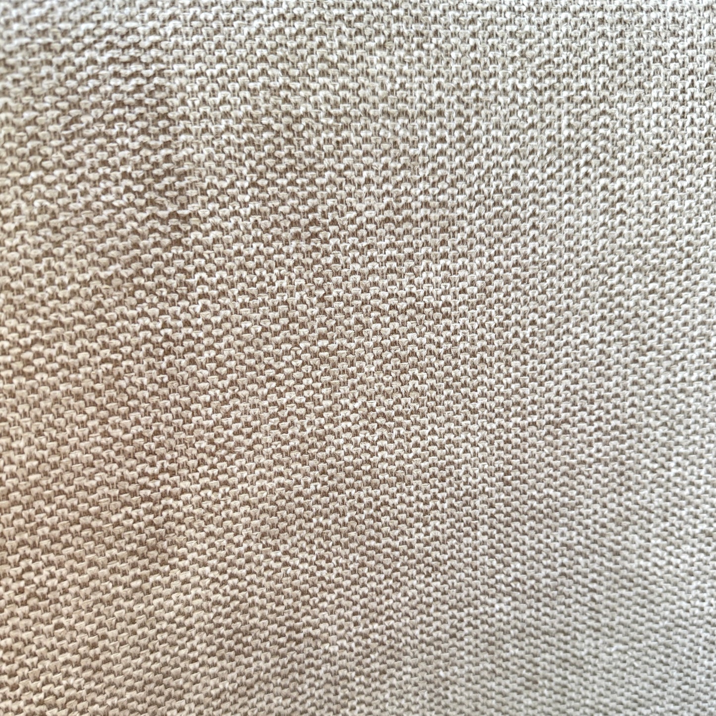 Amara Dining Chairs in Oatmeal (2pk)