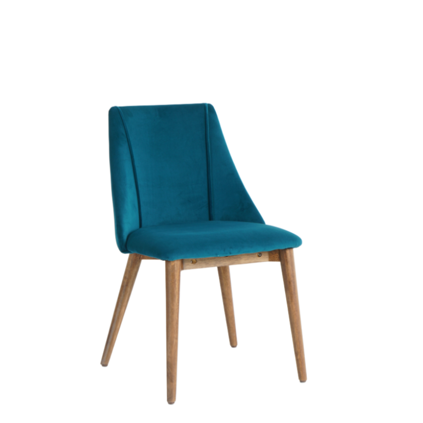 Carina Dining Chairs in Teal (2pk)