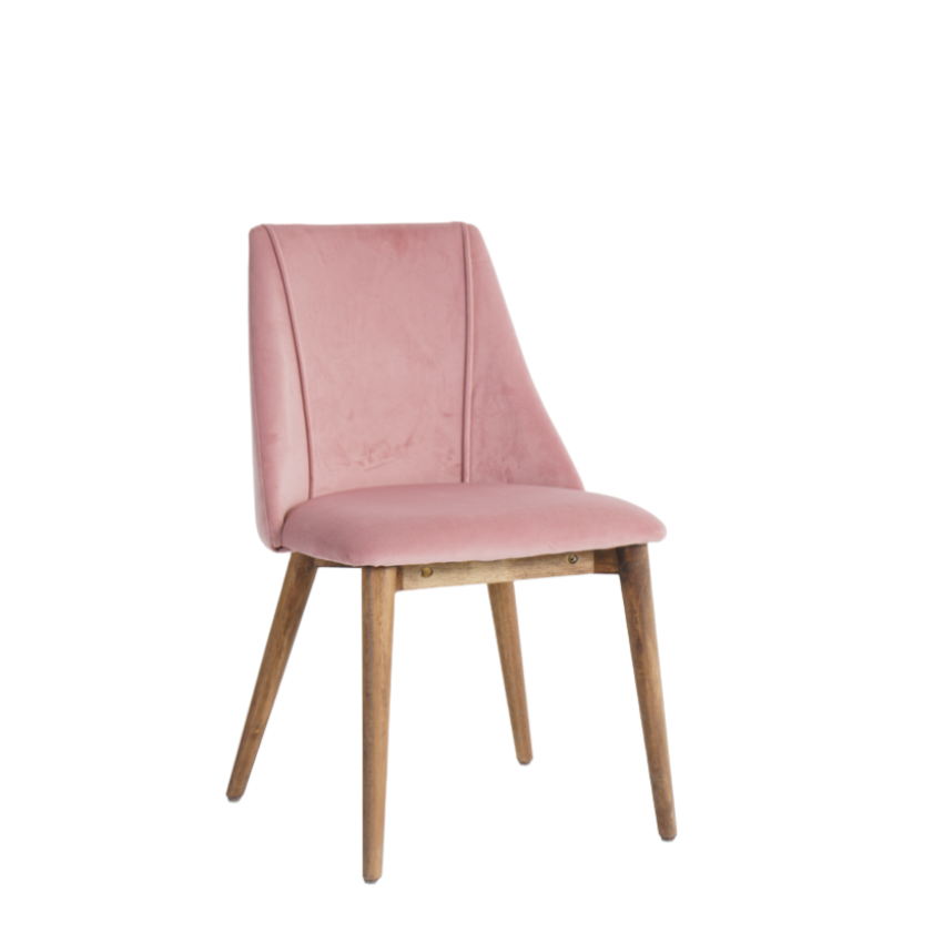 Carina Dining Chairs in Blush Pink (2pk)