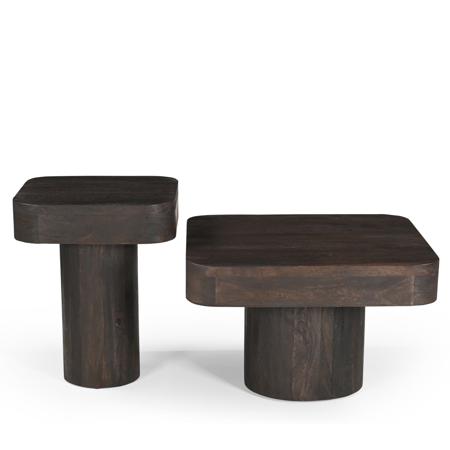 Dena Solid Mango Wood Side Table