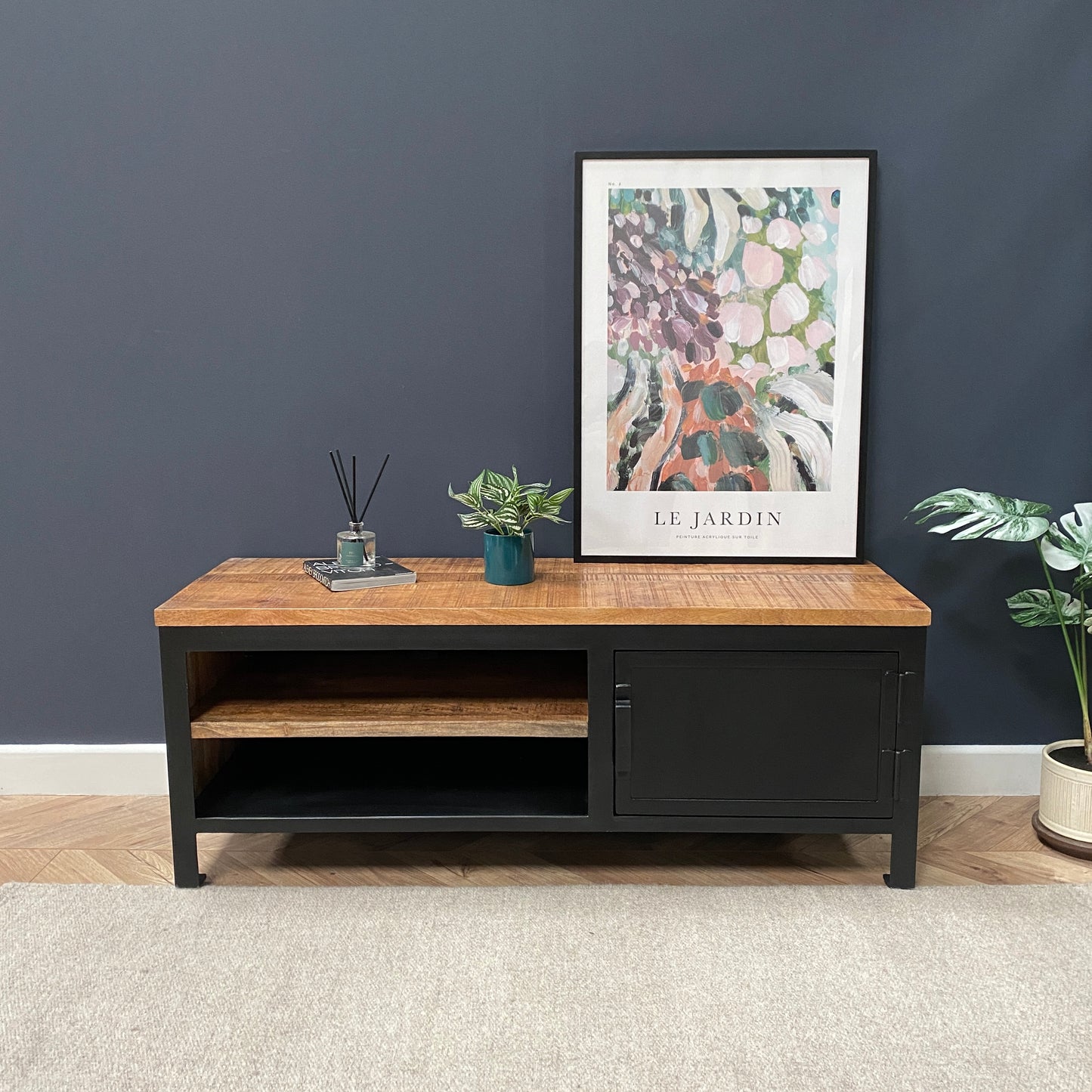 Sara Small Industrial Style TV Unit