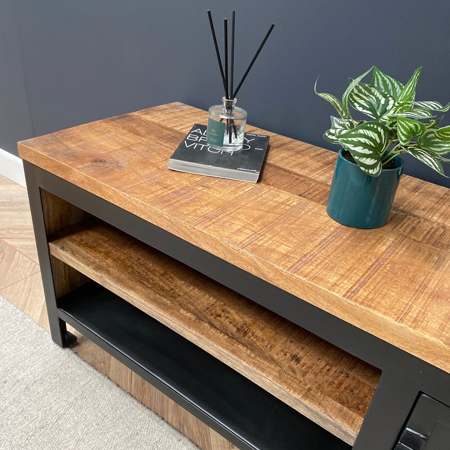 Sara Small Industrial Style TV Unit