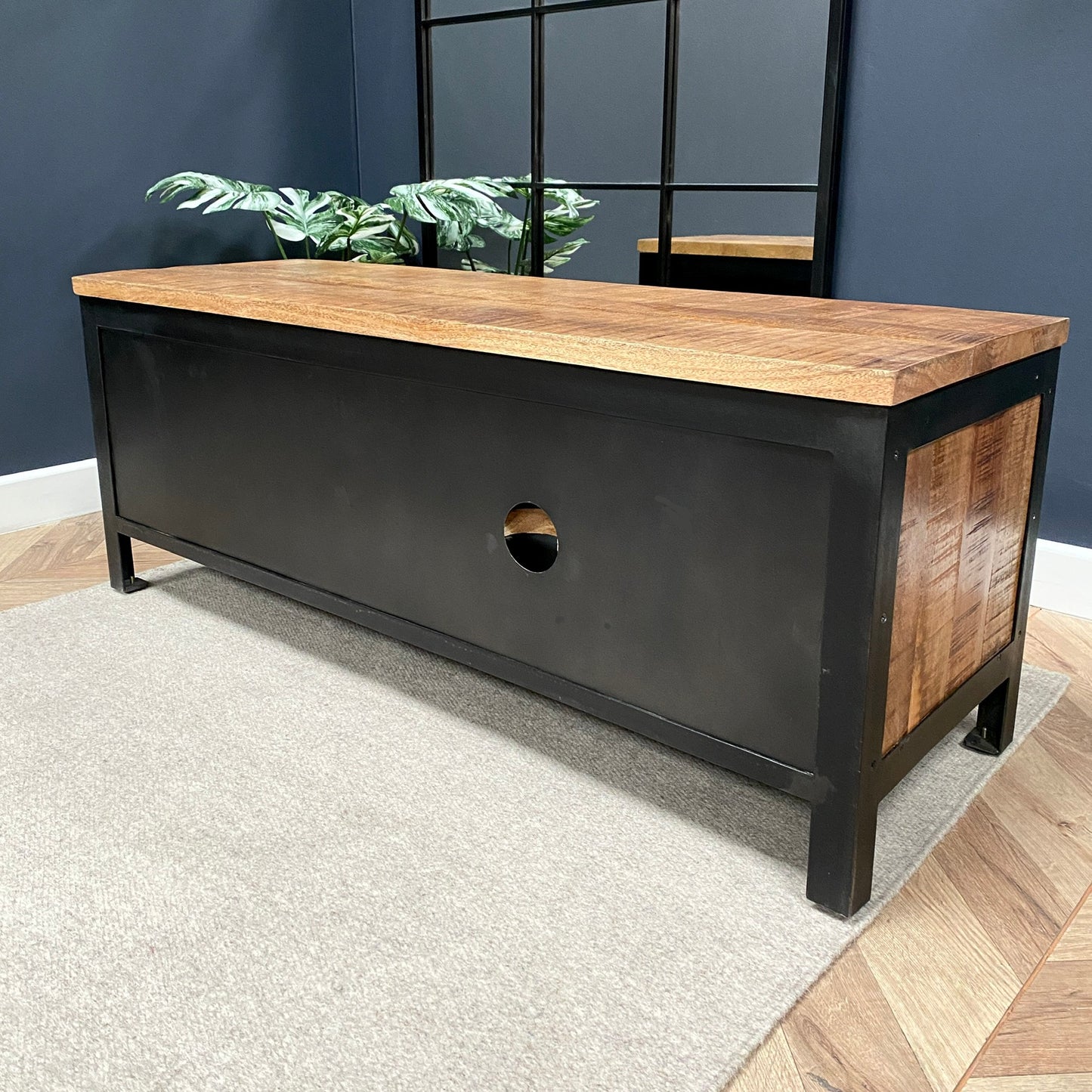 Sara Small Industrial Style TV Unit
