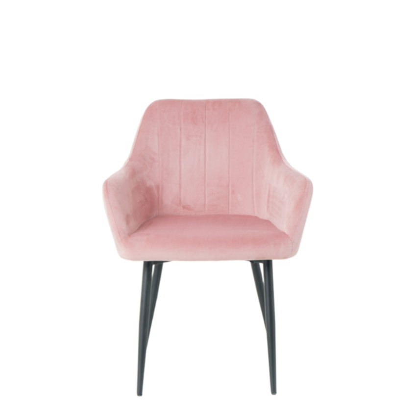 Layla Dining Chairs in Blush Pink (2pk)