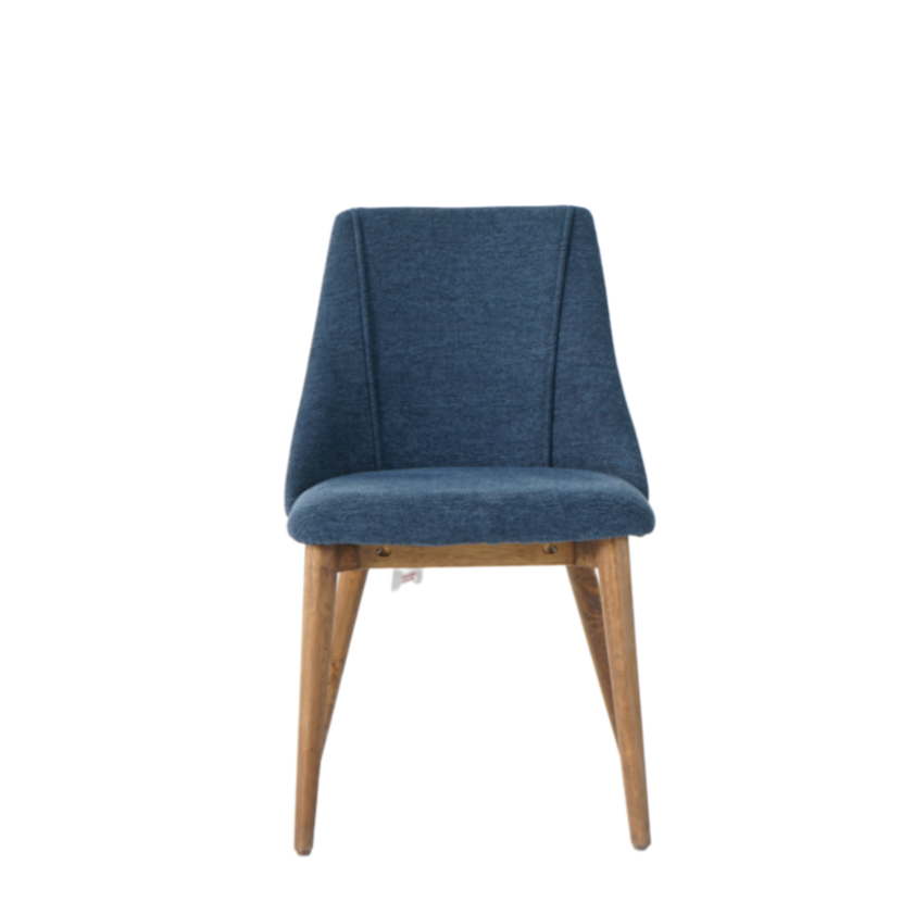 Carina Dining Chairs in Blue (2pk)