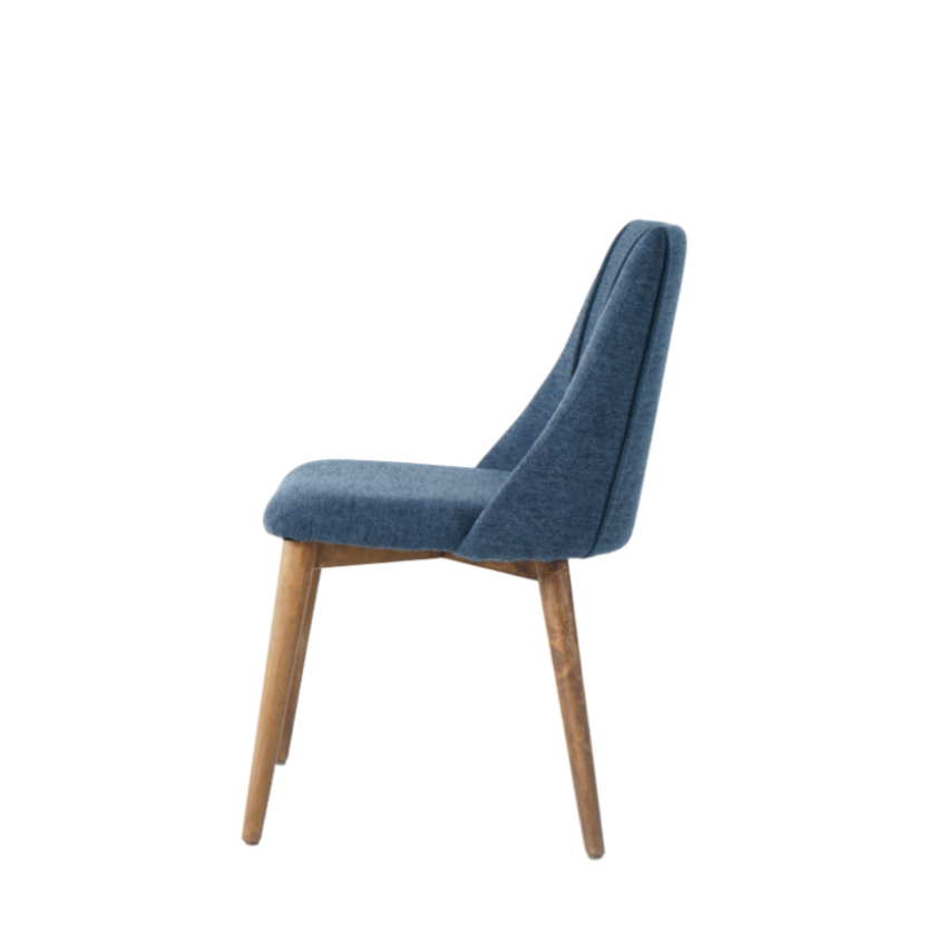 Carina Dining Chairs in Blue (2pk)