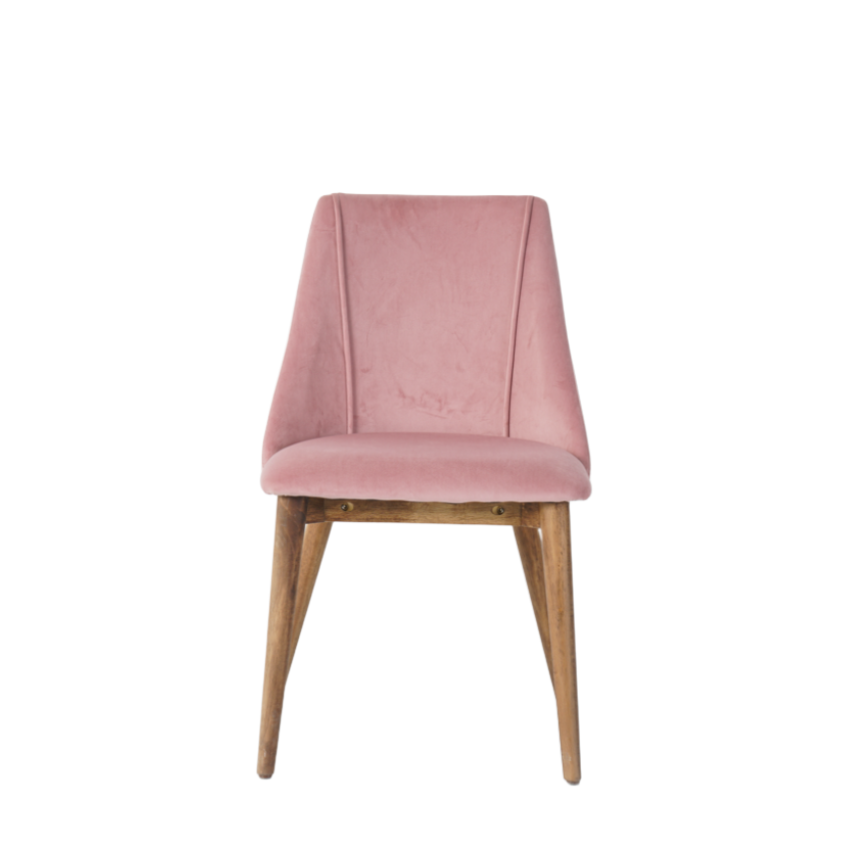 Carina Dining Chairs in Blush Pink (2pk)