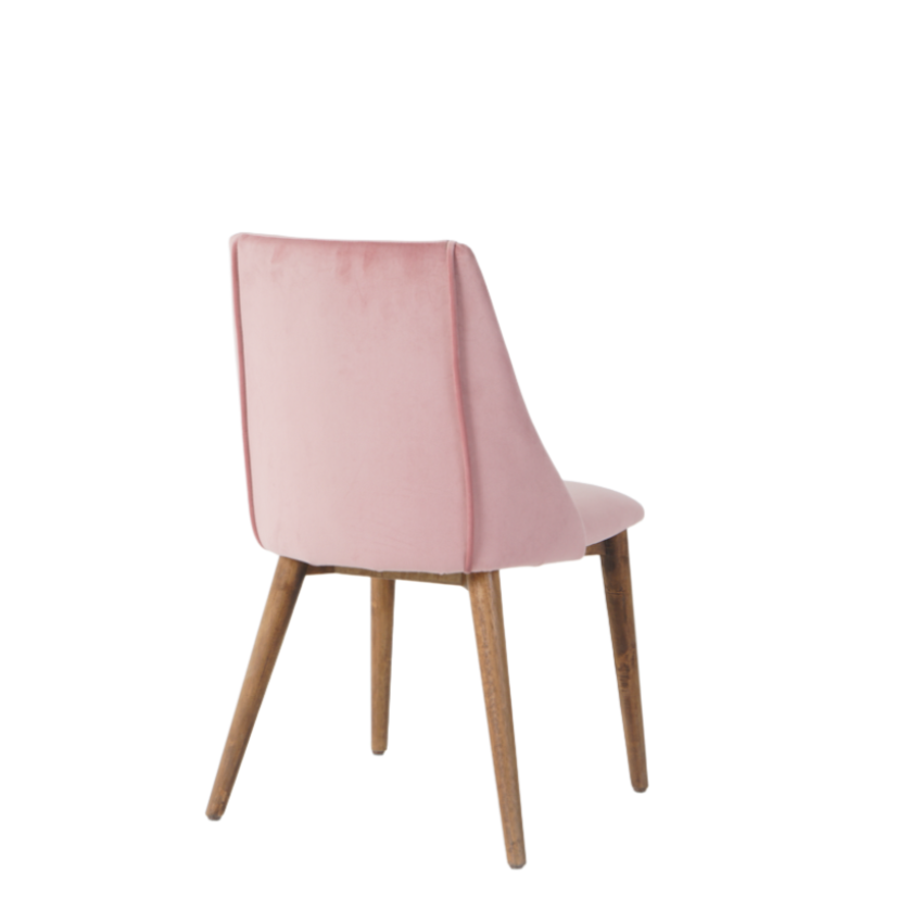 Carina Dining Chairs in Blush Pink (2pk)