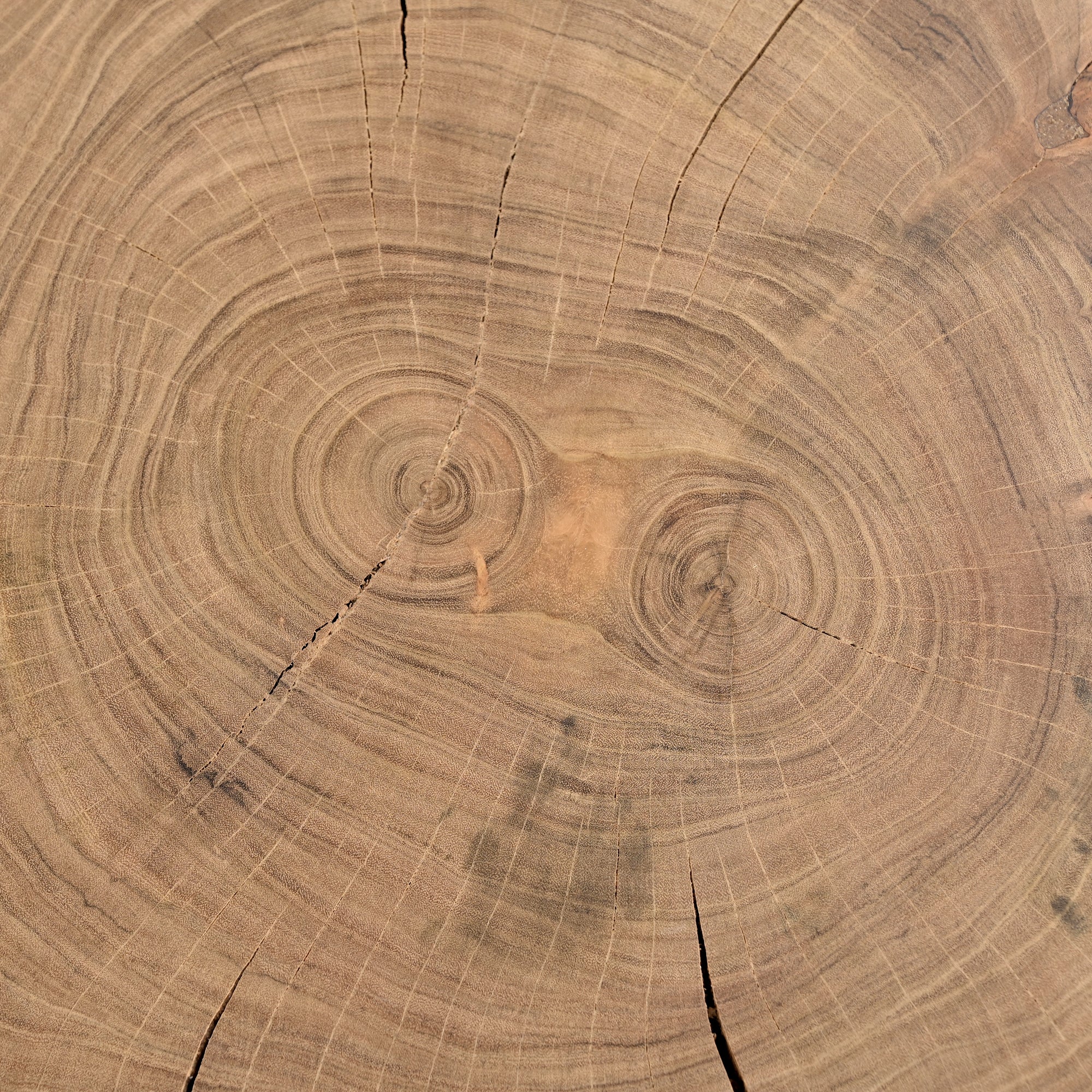 Rikke Solid Acacia Wood Coffee Table