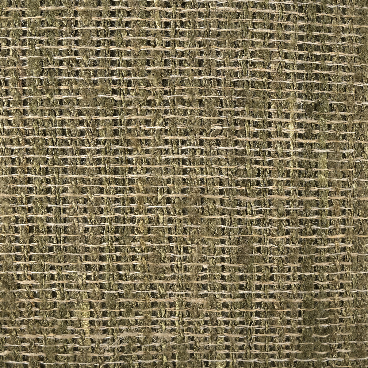 Tassu Cushion in Forest Green 50 x 50cm