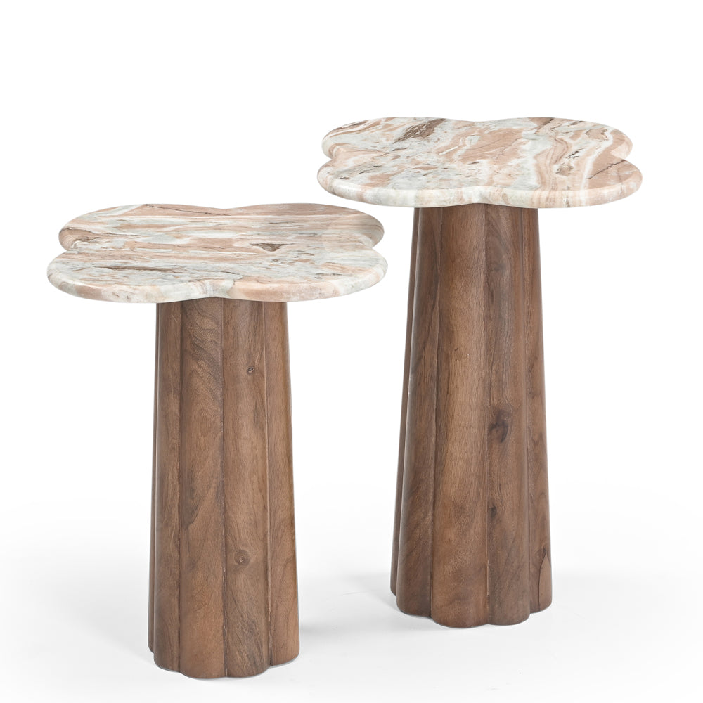 Jovo Solid Mango Wood and Marble Tables (Set of 2)